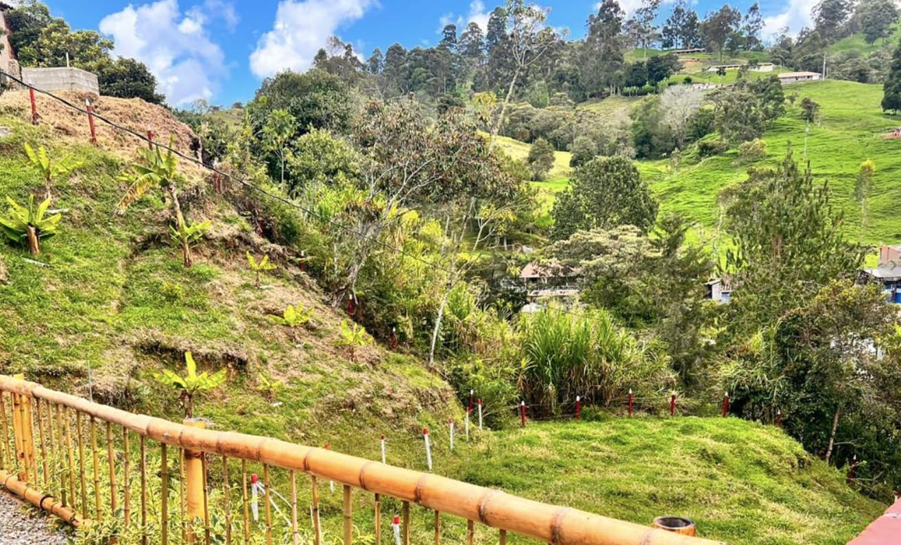 Vista aérea de la finca
