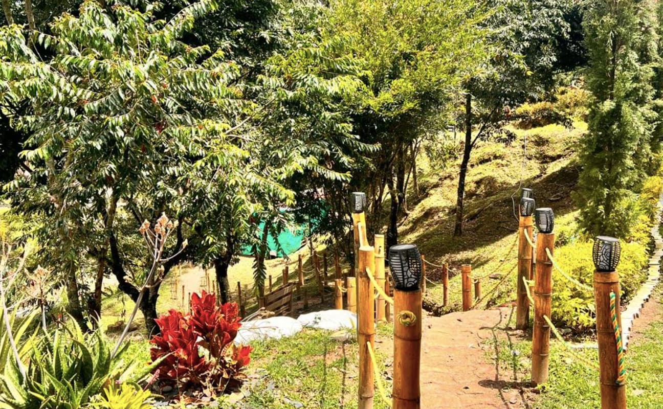 Galpones avícolas