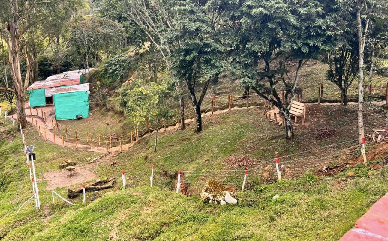 Potreros para ganado